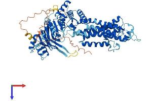 AlphaFold protein structure predicition of Human Recombinant ABCG4 Protein, UniprotID Q9H172