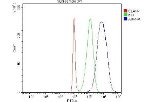 Flow Cytometry analysis of HL-60 cells using anti-Aurora A/AURKA antibody (ABIN7599581). (Aurora A anticorps  (AA 1-97))
