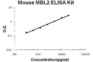 Mouse MBL2 Accusignal ELISA Kit Mouse MBL2 AccuSignal ELISA Kit standard curve.