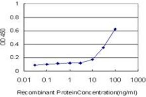 Detection limit for recombinant GST tagged PTPRE is approximately 10ng/ml as a capture antibody. (PTPRE anticorps  (AA 511-600))