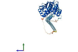 AlphaFold protein structure predicition of Mouse Recombinant Ptpn2 Protein, UniprotID Q06180