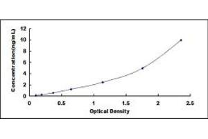 Heat Shock 27kDa Protein 2 (HSPB2) ELISA Kit