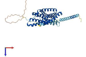 AlphaFold protein structure predicition of Mouse Recombinant P2ry1 Protein, UniprotID P49650