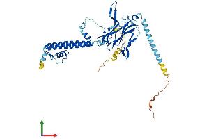 AlphaFold protein structure predicition of Human Recombinant KCNJ8 Protein, UniprotID Q15842