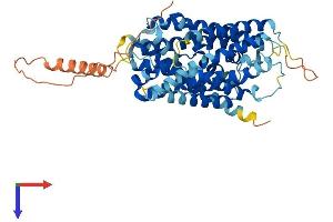 AlphaFold protein structure predicition of Human Recombinant SLC38A1 Protein, UniprotID Q9H2H9
