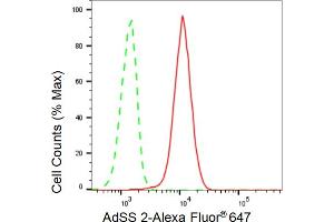 anti-AdSS 2 antibody