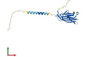 AlphaFold protein structure predicition of Mouse Recombinant Tnfsf4 Protein, UniprotID P43488