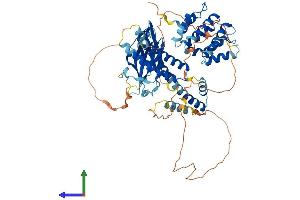 AlphaFold protein structure predicition of Human Recombinant GGA1 Protein, UniprotID Q9UJY5