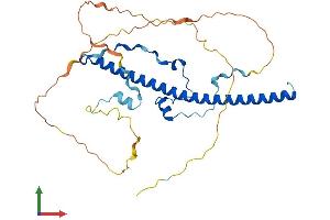 AlphaFold protein structure predicition of Human Recombinant DBP Protein, UniprotID Q10586