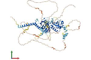 AlphaFold protein structure predicition of Human Recombinant HIF3A Protein, UniprotID Q9Y2N7