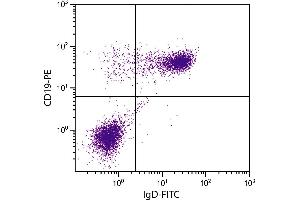 BALB/c mouse splenocytes were stained with Rat Anti-Mouse IgD-FITC. (Rat anti-Souris IgD Anticorps (FITC))