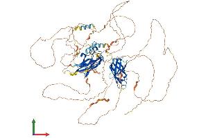 AlphaFold protein structure predicition of Human Recombinant NFATC1 Protein, UniprotID O95644
