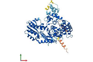 AlphaFold protein structure predicition of Human Recombinant VPS45 Protein, UniprotID Q9NRW7