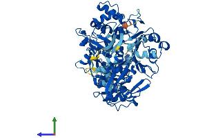 AlphaFold protein structure predicition of Human Recombinant AACS Protein, UniprotID Q86V21