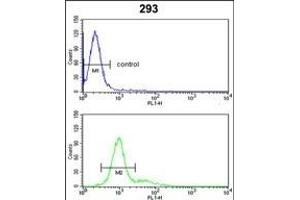 anti-Retinoblastoma 1 (RB1) (AA 858-886), (C-Term) antibody