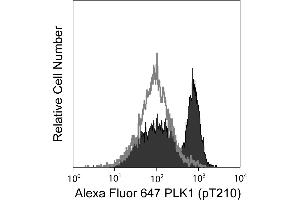 Flow Cytometry (FACS) image for anti-Polo-Like Kinase 1 (PLK1) (pThr210) antibody (Alexa Fluor 647) (ABIN1177152) (PLK1 anticorps  (pThr210) (Alexa Fluor 647))