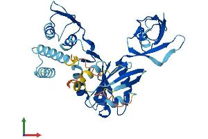 AlphaFold protein structure predicition of Human Recombinant DRG2 Protein, UniprotID P55039
