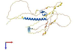 AlphaFold protein structure predicition of Human Recombinant DMRTC2 Protein, UniprotID Q8IXT2