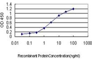 Detection limit for recombinant GST tagged ICOSLG is approximately 0. (ICOSLG anticorps  (AA 20-302))