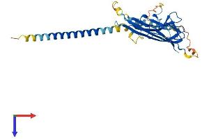 AlphaFold protein structure predicition of Mouse Recombinant Tnfsf10 Protein, UniprotID P50592