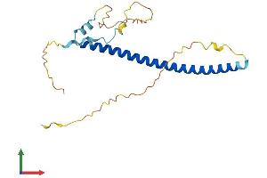 AlphaFold protein structure predicition of Human Recombinant GMNN Protein, UniprotID O75496