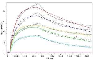 Macaca fascicularis IL2 captured on Protein A Chip can bind Recombinant Macaca fascicularis IL2RA (ABIN7937702, ABIN8117865 and ABIN8117866) with an affinity constant of 31.