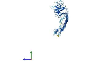 AlphaFold protein structure predicition of Human Recombinant TRIM62 Protein, UniprotID Q9BVG3