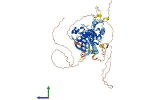 AlphaFold protein structure predicition of Mouse Recombinant Frmd6 Protein, UniprotID Q8C0V9