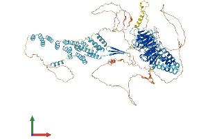 AlphaFold protein structure predicition of Mouse Recombinant Sec31a Protein, UniprotID Q3UPL0