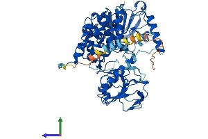 AlphaFold protein structure predicition of Mouse Recombinant Fmo4 Protein, UniprotID Q8VHG0