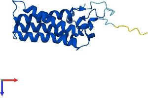 AlphaFold protein structure predicition of Mouse Recombinant Ormdl2 Protein, UniprotID Q9CQZ0