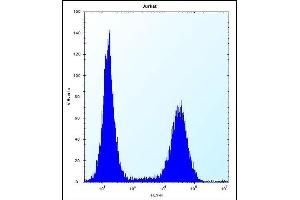 RNF11 Antibody (Center) (ABIN656832 and ABIN2846041) flow cytometric analysis of Jurkat cells (right histogram) compared to a negative control cell (left histogram). (RNF11 anticorps  (AA 64-90))