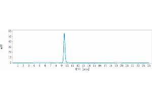 The purity of Anti- Human/Mouse/Monkey CTGF( Pamrevlumab) In Vivo Mab is 100 % , determined by SEC-HPLC. (Recombinant CCN2 (Pamrevlumab Biosimilar) anticorps)