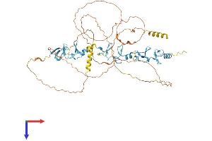 AlphaFold protein structure predicition of Mouse Recombinant Ajuba Protein, UniprotID Q91XC0