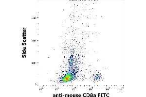 Flow cytometry surface staining pattern of murine splenocyte suspension stained using anti-mouse CD8a (53-6. (CD8 alpha anticorps  (FITC))