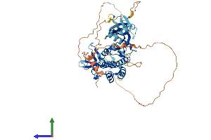 AlphaFold protein structure predicition of Mouse Recombinant Stk35 Protein, UniprotID Q80ZW0