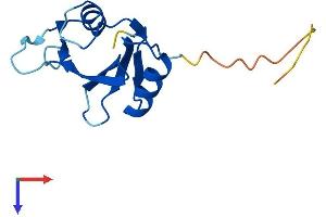 AlphaFold protein structure predicition of Human Recombinant SH2D1A Protein, UniprotID O60880