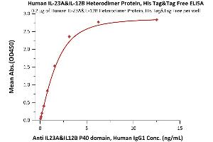 Immobilized Human IL-23A&IL-12B Heterodimer Protein, His Tag&Tag Free (ABIN4949114,ABIN4949115) at 2 μg/mL (100 μL/well) can bind Anti IL23A&IL12B P40 domain, Human IgG1 with a linear range of 0. (IL12A & IL27B (AA 20-189) (Active) protein (His tag))