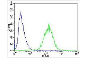 anti-Stathmin-Like 2 (STMN2) (AA 82-116) antibody