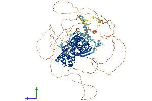 AlphaFold protein structure predicition of Human Recombinant STARD8 Protein, UniprotID Q92502