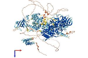 AlphaFold protein structure predicition of Mouse Recombinant Dnmt1 Protein, UniprotID P13864