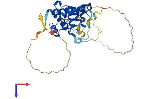 AlphaFold protein structure predicition of Mouse Recombinant Spdya Protein, UniprotID Q5IBH7