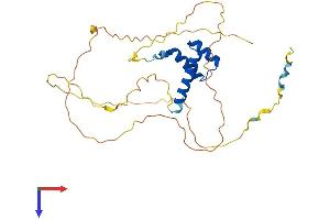AlphaFold protein structure predicition of Human Recombinant DLX3 Protein, UniprotID O60479