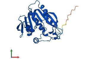 AlphaFold protein structure predicition of Human Recombinant TPMT Protein, UniprotID P51580