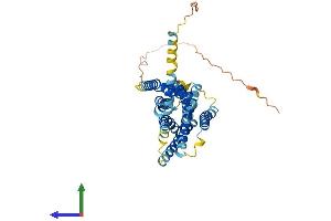 AlphaFold protein structure predicition of Mouse Recombinant Gper1 Protein, UniprotID Q8BMP4