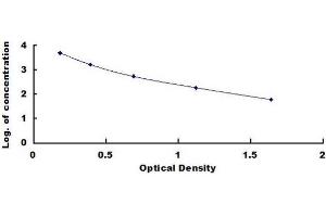 Typical standard curve