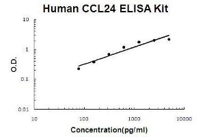 Human CCL24/Eotaxin-2 PicoKine ELISA Kit standard curve (CCL24 Kit ELISA)
