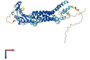 AlphaFold protein structure predicition of Human Recombinant MCOLN1 Protein, UniprotID Q9GZU1