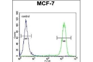 EFHB Antibody (N-term) (ABIN654858 and ABIN2844520) flow cytometric analysis of MCF-7 cells (right histogram) compared to a negative control cell (left histogram). (EFHB anticorps  (N-Term))