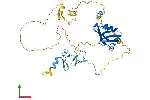 AlphaFold protein structure predicition of Human Recombinant PDLIM3 Protein, UniprotID Q53GG5